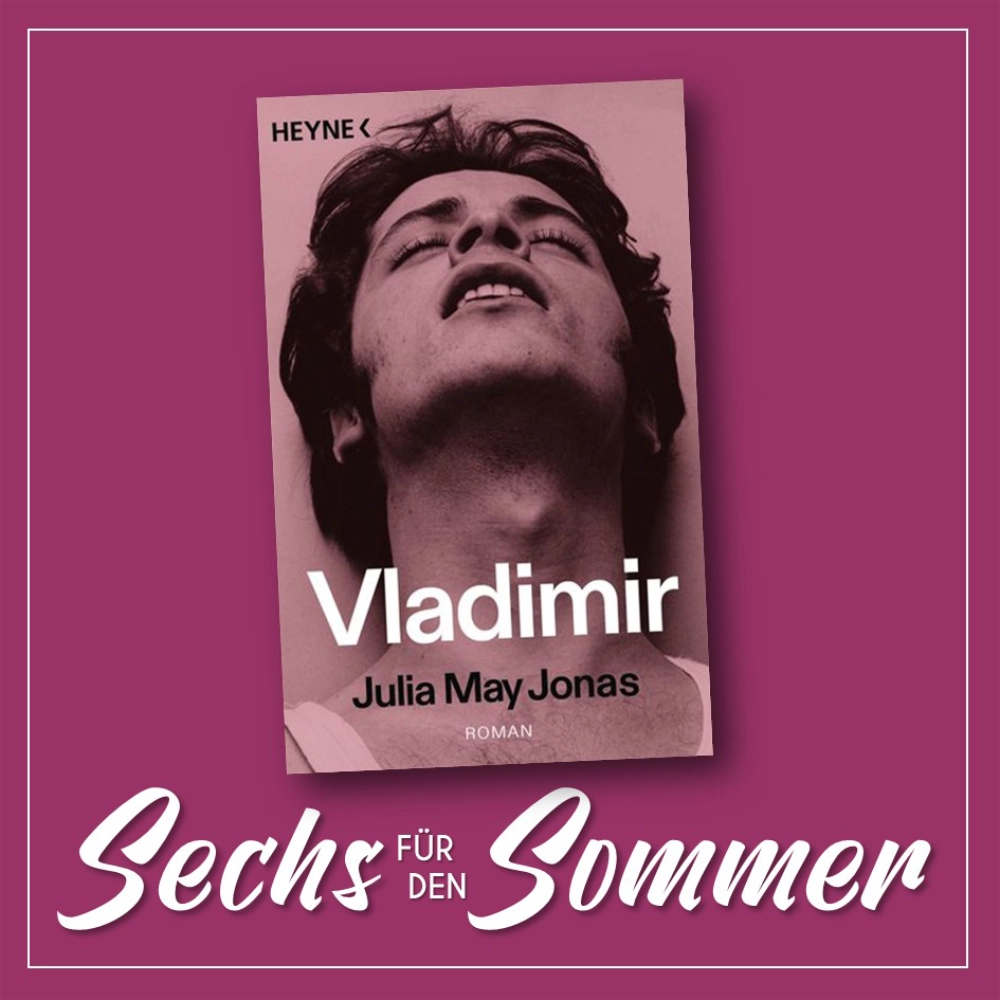 Das Bild zeigt das Cover des Romans VLADIMIR von Julia May Jonas.