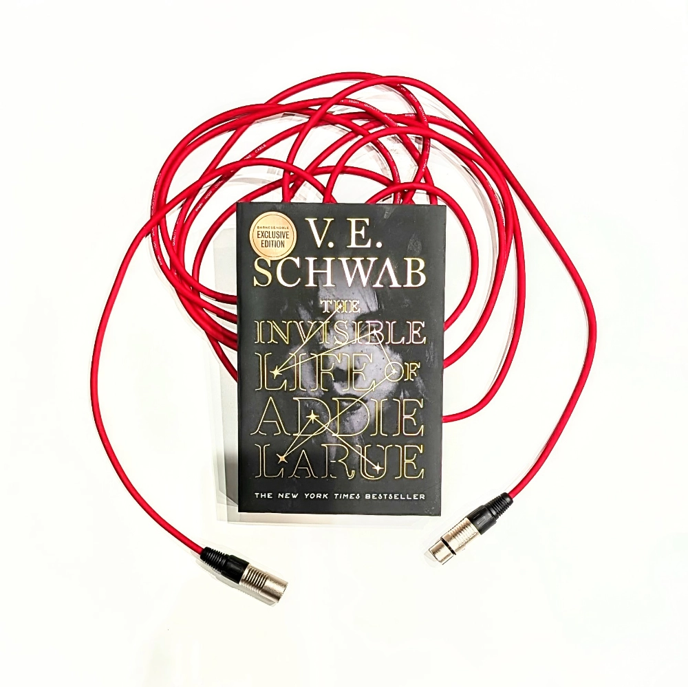 Das Bild zeigt das Cover der englischen Originalausgabe des Romans THE INVISIBLE LIFE OF ADDIE LARUE von V.E. Schwab.