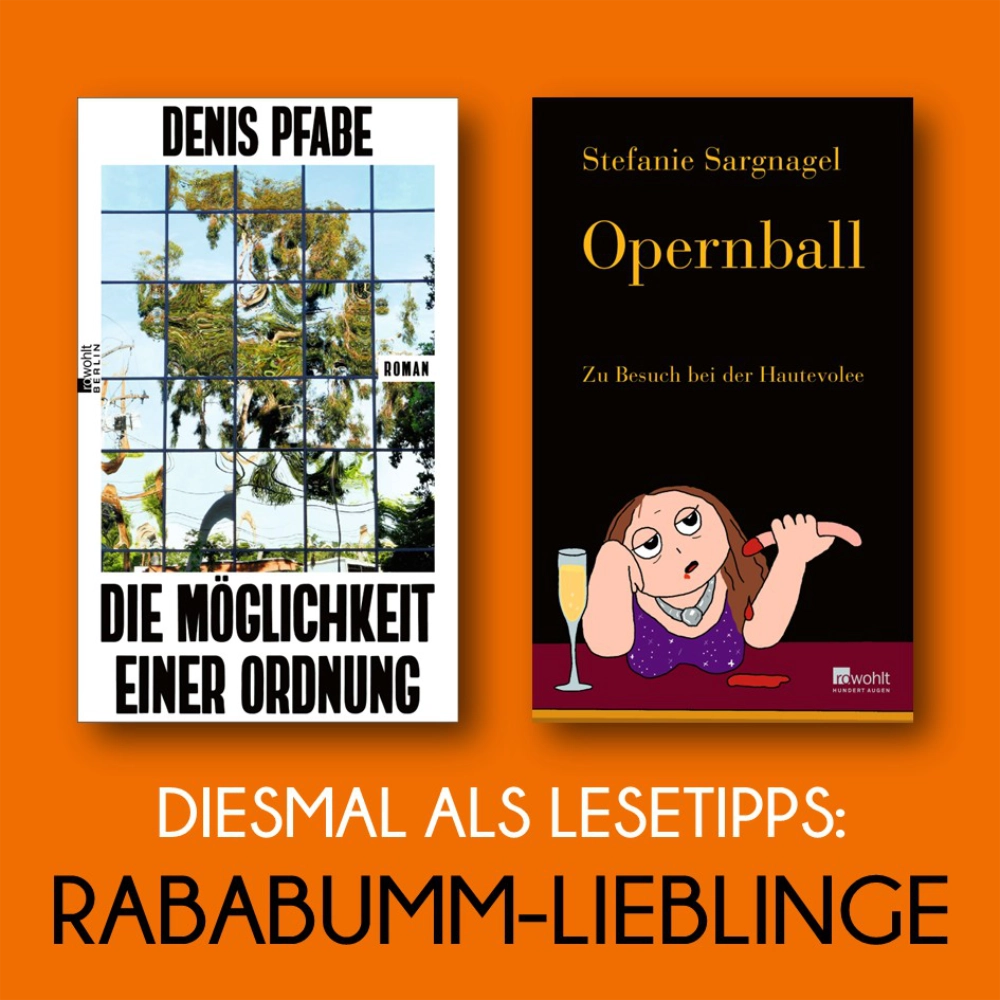 Das Bild zeigt links den Umschlag von Denis Pfabes Roman DIE MÖGLICHKEIT EINER ORDNUNG und rechts daneben den Umschlag des Buchs OPERNBALL von Stefanie Sargnagel.