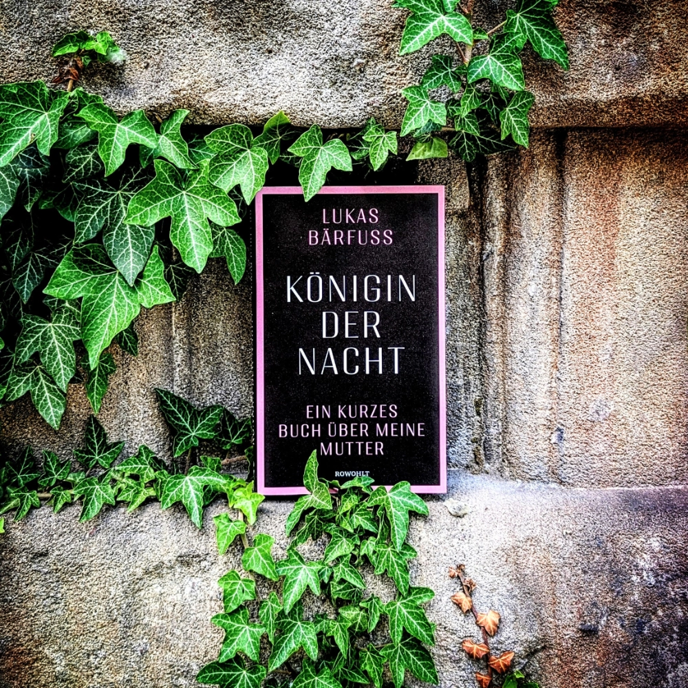 Das Foto zeigt das Buch "Königin der Nacht" von Lukas Bärfuss, das auf vor einer efeubewachsenen Betonsäule steht.